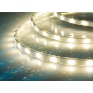 Flexible Strip Light TP-FS-3526-60-12V Flexible Strip Light TP-FS-3526-60-12V